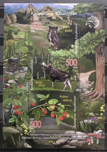 2020 Флора и фауна - Западно-Алтайский заповедник