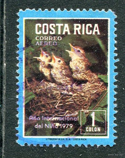 Коста-Рика. Фауна. Птенцы