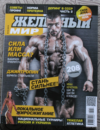 Железный мир. Журнал о силе, мышцах и красоте тела. номер 12 2013
