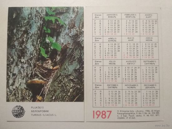 Карманный календарик. Птица Белобровик. 1987 год