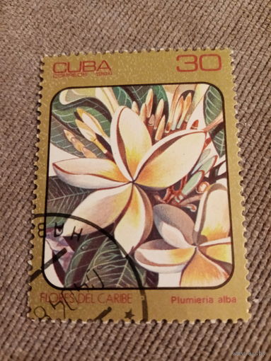 Куба 1984. Флора кариб. Plumieria alba