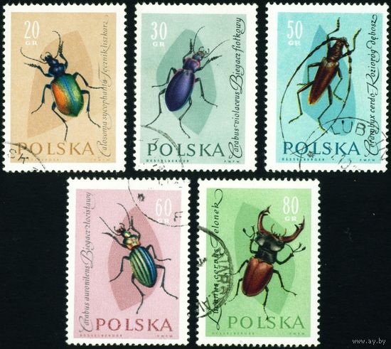 Насекомые Польша 1961 год 5 марок