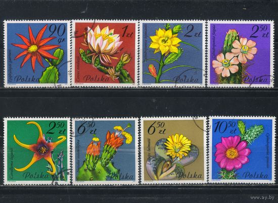 Польша ПНР 1981 Цветущие кактусы Полная #2784-91