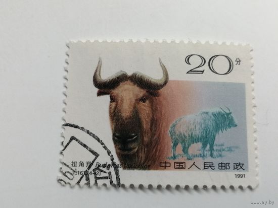 Китай 1991. Рогатые жвачные животные
