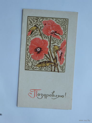 Пинская выпуклая поздровляю 1971   открытка БССР  9х15 см