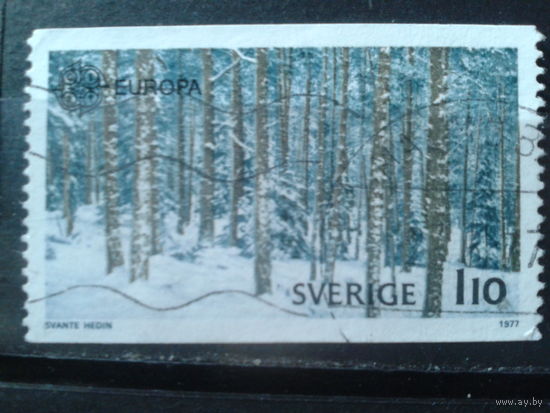 Швеция 1977 Европа, лес
