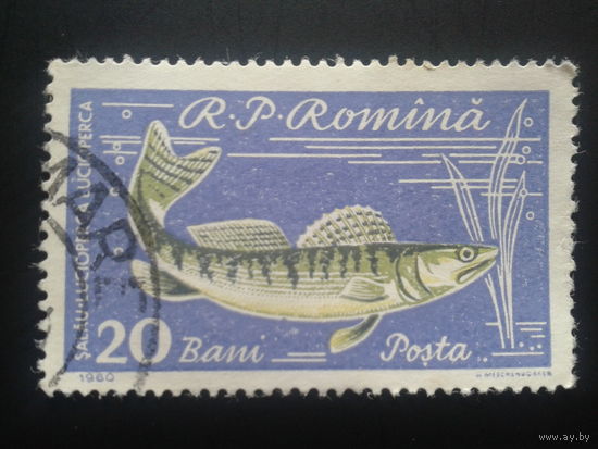 Румыния 1960 рыба