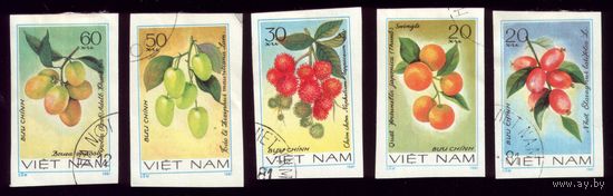 5 марок 1981 год Вьетнам Флора