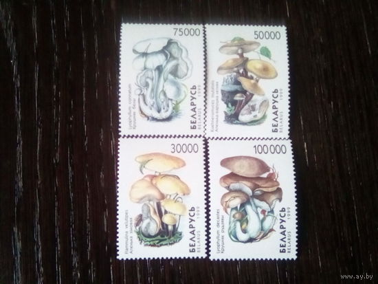 Беларусь 1999 серия грибы