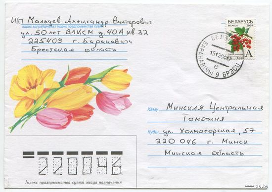 2004. Конверт, прошедший почту "Цветы-7"