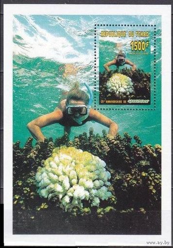 1996 Чад 1369/B260 Кораллы 9,50 евро
