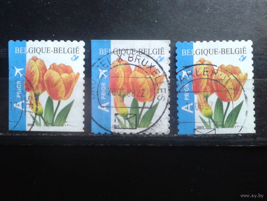 Бельгия 2005 Тюльпаны, разновидности из буклета