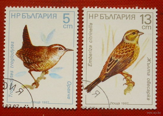 Болгария. Птицы. ( 2 марки ) 1987 года. 3-10.