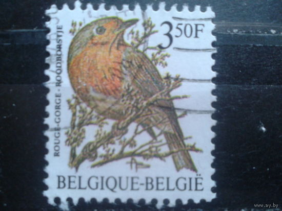 Бельгия 1986 Стандарт, птица 3,5 франка