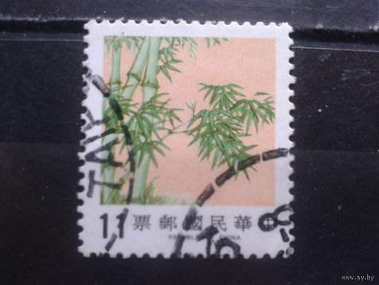 Тайвань, 1986. Бамбук