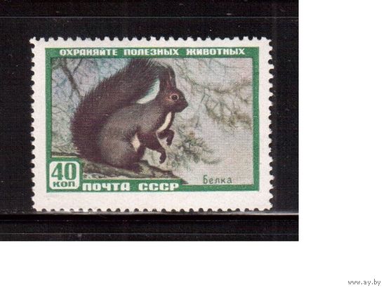 СССР-1959, (Заг.2242)  * (след от накл.)  , Фауна, Белка