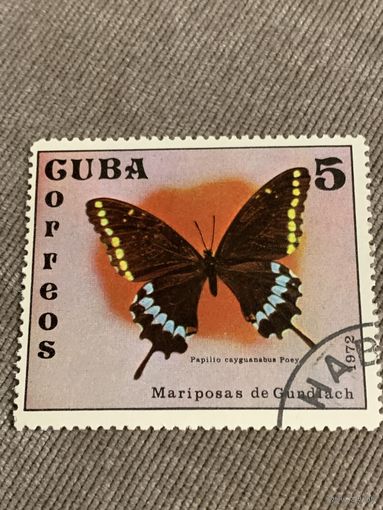 Куба 1972. Бабочки. Papillo cayguanabus. Марка из серии