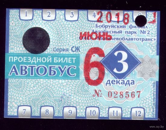 Проездной билет Бобруйск Автобус Июнь 3 декада 2018