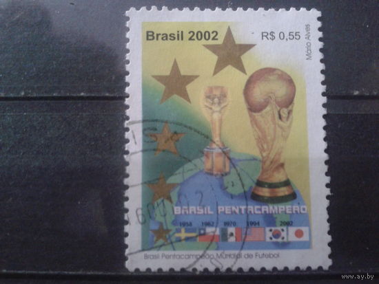 Бразилия 2002 Чемпионат мира по футболу, одиночка
