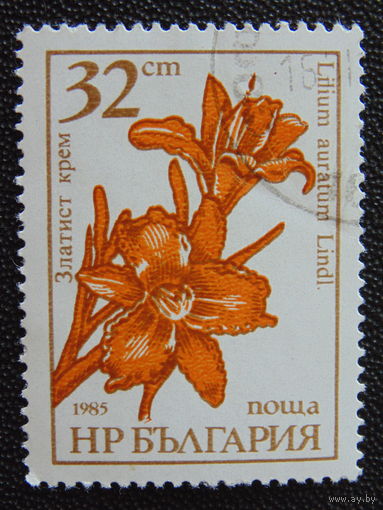Болгария 1985 г. Цветы.