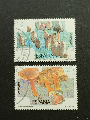Испания 1995. Грибы. Полная серия