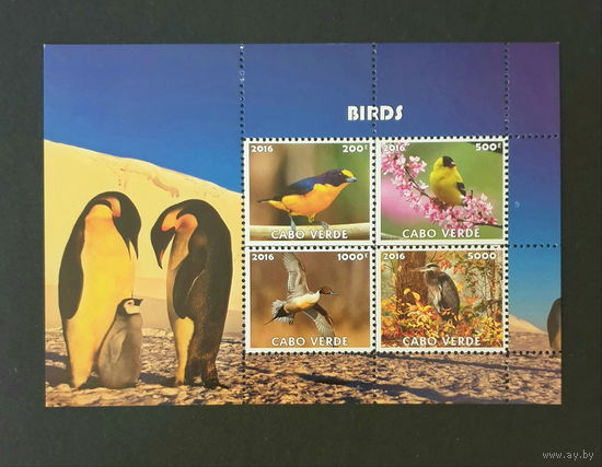 Птицы Фауна Кабо-верде 2016