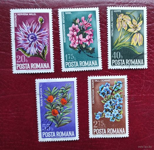 Румыния, 5м цветы гаш. 1974