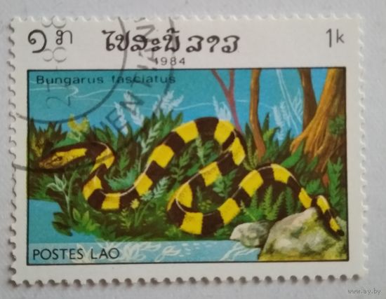 Лаос 1984. Змея