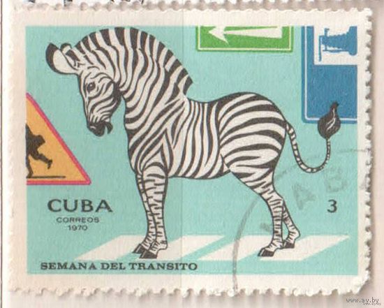 Зебра. 1 марка, 1970г.,гаш. Куба.