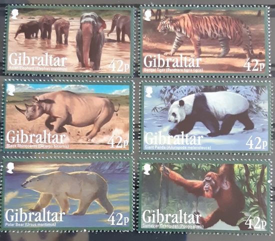 2011 исчезающие виды животных - Гибралтар