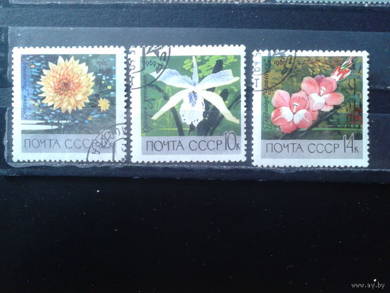1969 Цветы