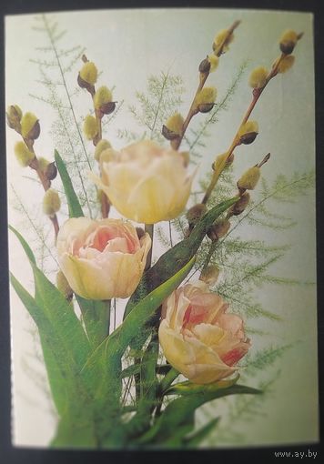 СССР 1988 открытка цветы, провизорий Минск 15р.  зак.130440.