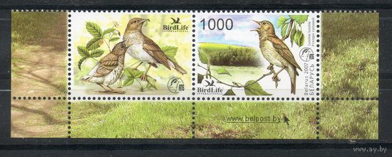 Птица года. Восточный соловей Беларусь 2007 год (688) серия из 1 марки  с купоном
