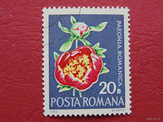 Румыния 1972г. Цветы.