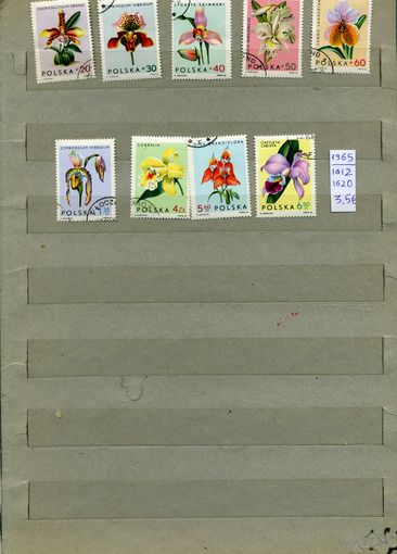 ПОЛЬША, 1965  ОРХИДЕИ  серия  9м   (на рис. указаны номера и цены по МИХЕЛЮ)