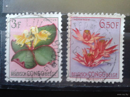 Конго, колония Бельгии 1952 Цветы