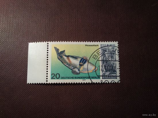 Германия .Западный Берлин 1977 г.Расписной спинорог - вид морских лучепёрых рыб.