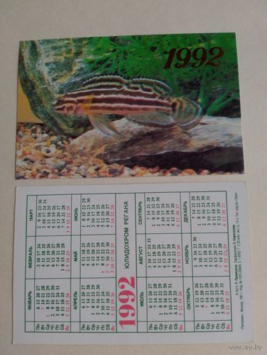 Карманный календарик . Аквариумные рыбки.1992 год