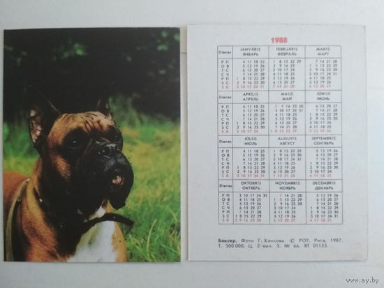 Карманный календарик. Боксёр. 1988 год