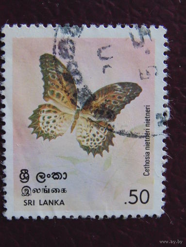 Шри - Ланка. Бабочка.