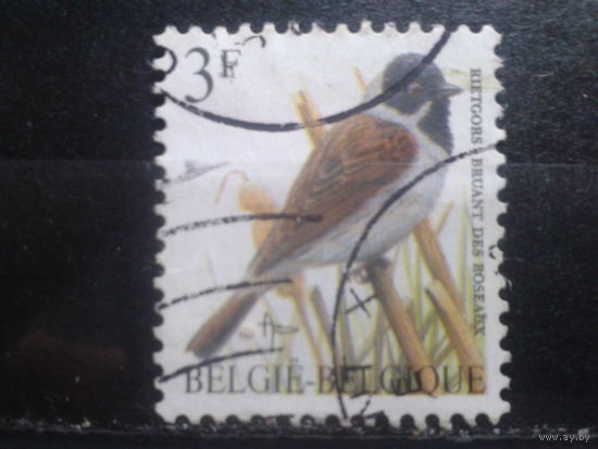 Бельгия 1991 Стандарт, птица 3 франка