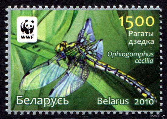 Беларусь 2010 #844. Рагаты дзедка (1500 руб)