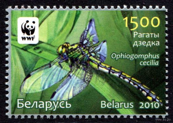 Беларусь 2010 #844. Рогатый дедка (1500 руб)