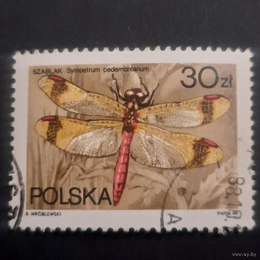 Польша 1988. Стрекозы. Sympetrum pedemontarum. Марка из серии