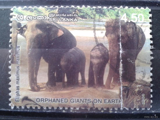 Шри-Ланка 2003 Слоны