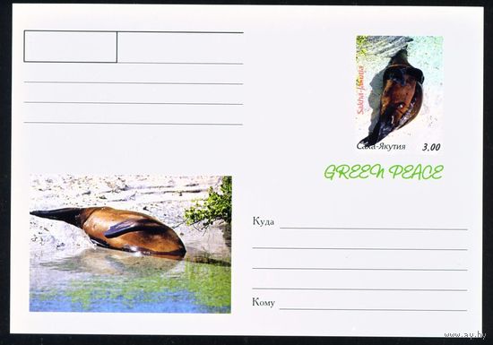 Почтовая карточка с оригинальной маркой Якутии Морские котики Животные