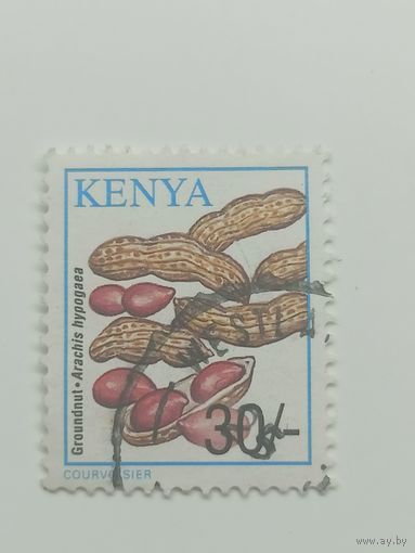 Кения 2001. Культуры