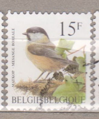 Птицы Фауна Бельгия 1997 год лот 1072