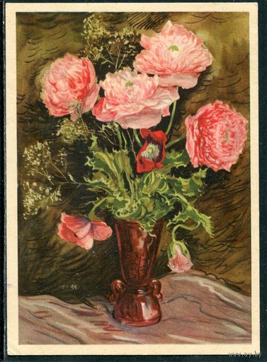 Открытка. Цветы. Розовые маки. СССР 1957