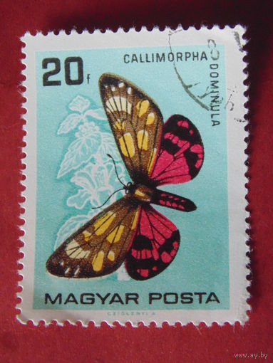 Венгрия 1966 г. Бабочка.